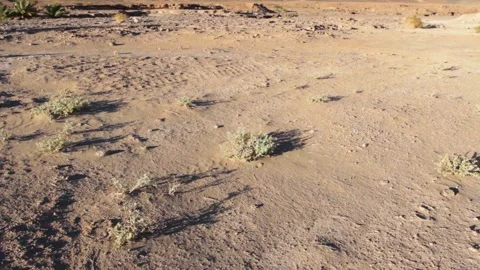 Tissint desert Stock Footage 138632136