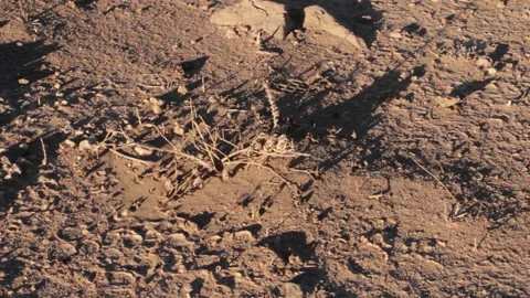 Tissint desert Stock Footage 138632263