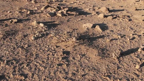 Tissint desert Stock Footage 138632403