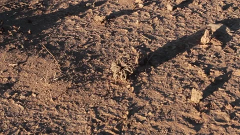 Tissint desert Stock Footage 138632424