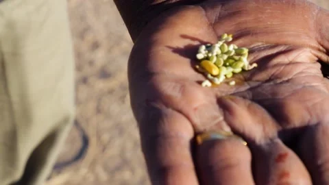 Tissint desert Stock Footage 138632434