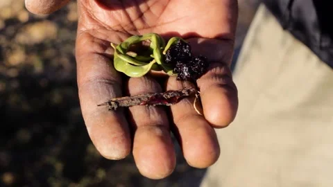Tissint desert Stock Footage 138632618