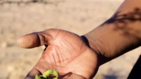 Tissint desert Stock Footage 138632841