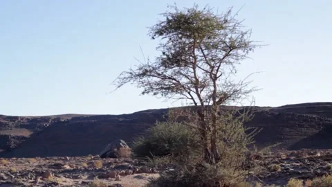 Tissint desert Stock Footage 138632906