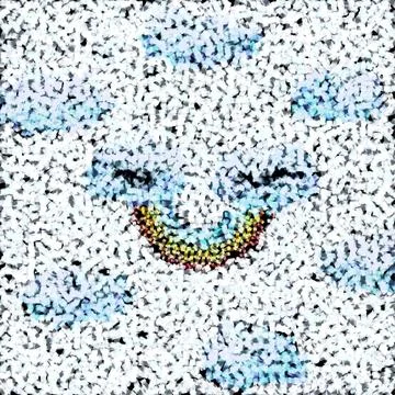 Tissue background Illustrazione stock