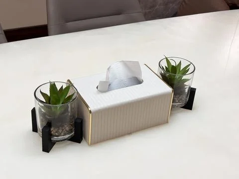 Tissue box cover flanked by two small succulent-like plants Stock Photos