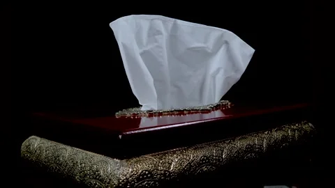 A tissue box made with wood rotating on an automatic display stand Stock Footage 263044308