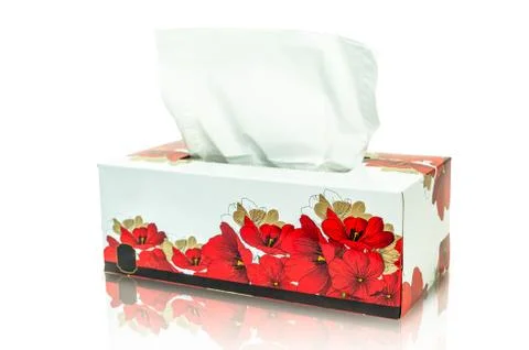 Tissue box mock up white tissue box blank label and no text for packaging 스톡 사진