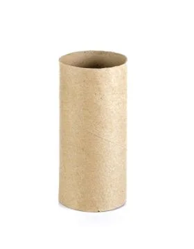 Tissue core isolated on the white background Stock Photos