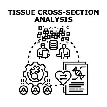 Tissue cross section analysis concept developing medical research Stock Illustration