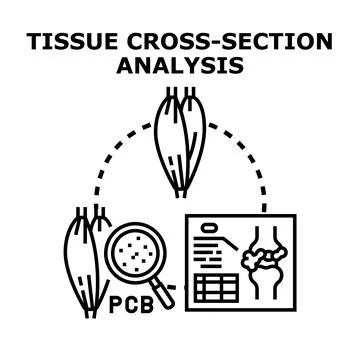 Tissue cross section analysis examining cellular composition with a magnifyin Stock Illustration