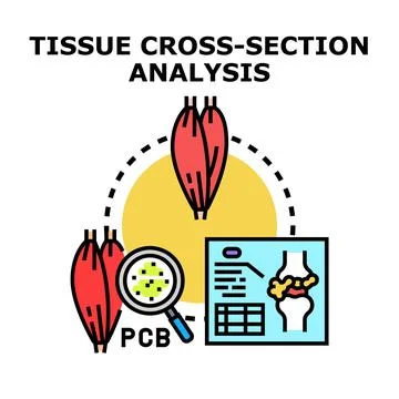 Tissue cross section analysis examining cellular composition and medical co.. Stock Illustration