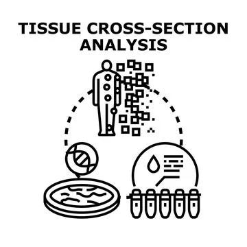 Tissue cross section analysis medical research and diagnostics 스톡 일러스트