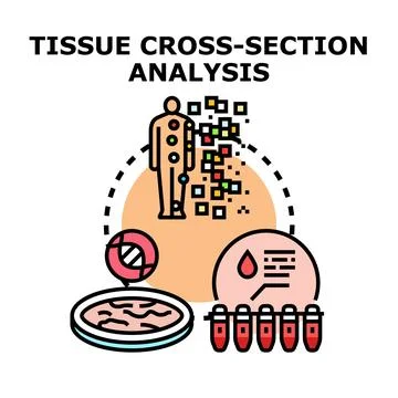 Tissue cross section analysis medical research and diagnostics Stock Illustration
