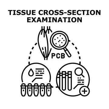 Tissue cross section examination and biological analysis concept Stock Illustration