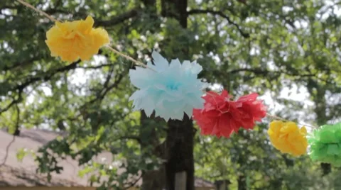 Tissue Flowers 1 스톡 동영상 7750639