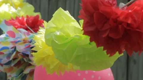 Tissue Flowers 2 스톡 동영상 7750204