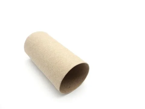 Tissue paper roll core. Empty roll on toilet paper isolated on a white backgr Foto stock