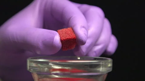 Tissue sample being squeezed Stock Footage 49965325