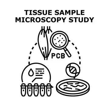 Tissue sample microscopy study of human contamination Stock Illustration