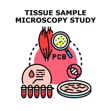 Tissue sample microscopy study of human contamination Stock Illustration
