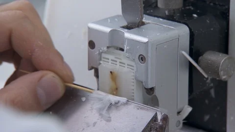 Tissue samples. biopsy the tissue. biological material. glass with a fragment Stock Footage 113685750