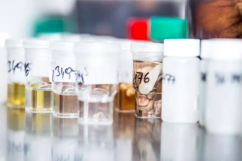 Tissue samples in clinical laboratory Stock Photos