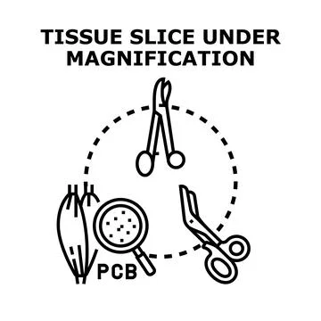 Tissue slice under magnification with medical instruments 스톡 일러스트