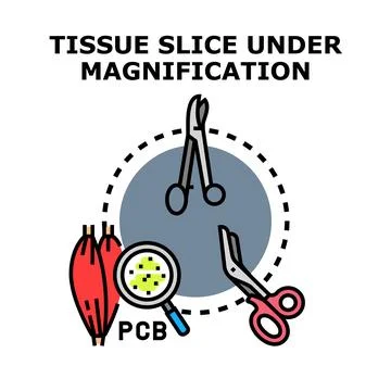 Tissue slice under magnification with medical instruments Stock Illustration