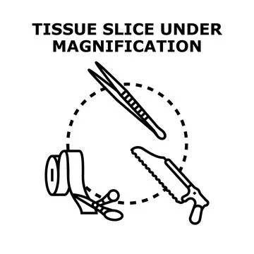 Tissue slice under magnification medical procedure concept Stock Illustration