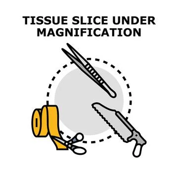 Tissue slice under magnification medical procedure concept Stock Illustration