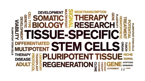 Tissue-specific stem cells animated word cloud,animation typography seamless. Stock Footage 327622164