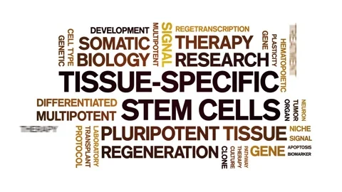 Tissue-specific stem cells animated word cloud,animation typography seamless. Stock Footage 327622171