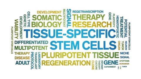 Tissue-specific stem cells animated word cloud,animation typography seamless. Stock Footage 327622182