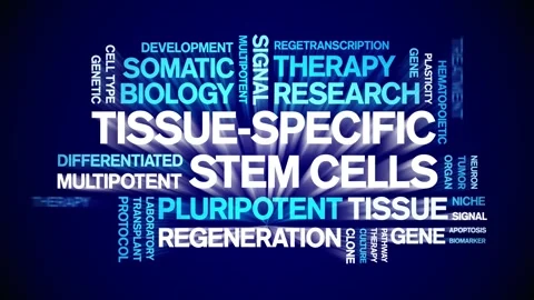 Tissue-specific stem cells animated word cloud,animation typography seamless. Stock Footage 327622720