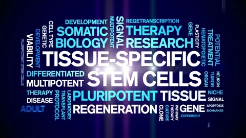 Tissue-specific stem cells animated word cloud,animation typography seamless. Stock Footage 327622773