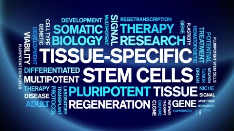 Tissue-specific stem cells animated word cloud,animation typography seamless. Stock-Footage 327622864