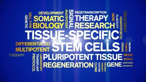 Tissue-specific stem cells animated word cloud,animation typography seamless. Stock Footage 327624010