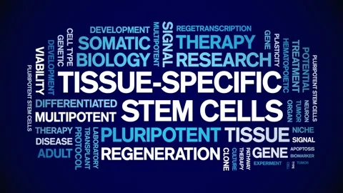 Tissue-specific stem cells animated word cloud,animation typography seamless. Stock-Footage 327628839