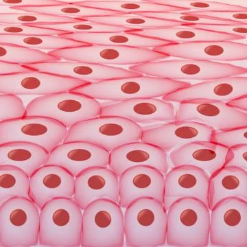 Tissue - Vector Illustration Stock Illustration