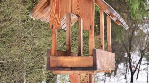 A tit flew into the feeder to eat some food Stock Footage 273861096