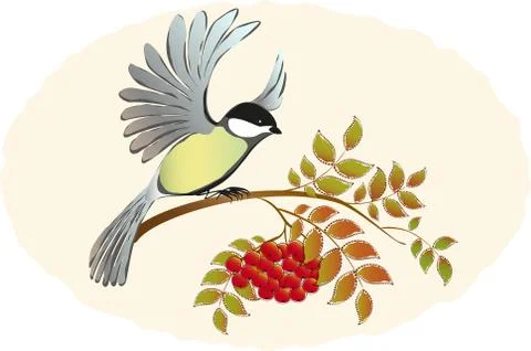 Tit takes sits down with Rowan branches with berries. EPS10 vector illustration Stock Illustration
