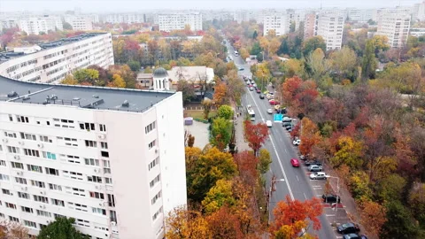 The Titan park with multiple multicolored trees, road with moving cars. Stock Footage 145152357