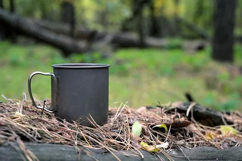 Titanium camping mug on forest log covered with pine needles Stock Photos