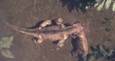 Titanophoneus dinosaur feats on a dicynodont Vidéo 245213184