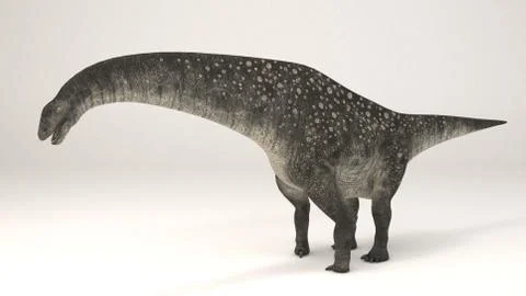 Titanosaurus Stock Illustration