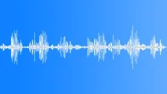 Titbabbler callingSound Effect