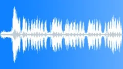 Titi Monkey Calls CUSound Effect