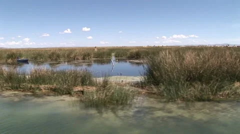 Titicaca Lake Vídeo Stock 7754946