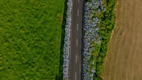 Title: Aerial drone top-down birds-eye view tracking shot of a straight asphalt 库存影片 335246527
